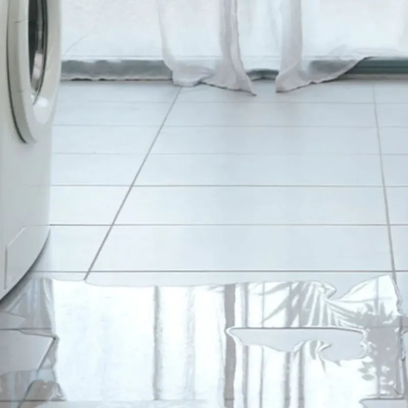 Appliance Leak Cleanup in Albion, IN