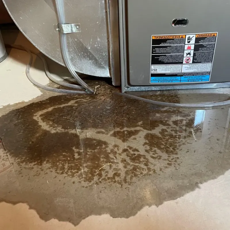 Pipe Burst and Leak Restoration in Albion, IN