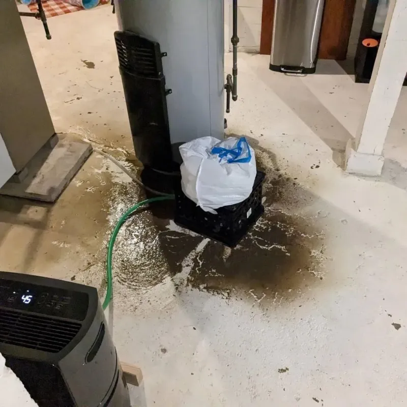 Sewage Backup Cleanup Service in Albion, IN